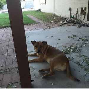 Meet your Posher, Ethan